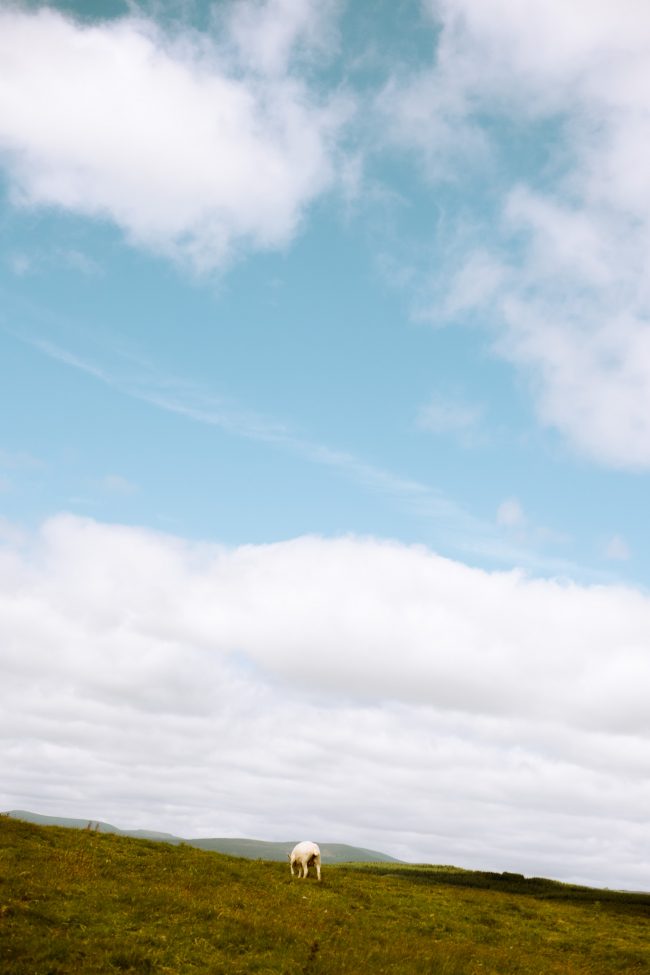 Abo Akin photography31