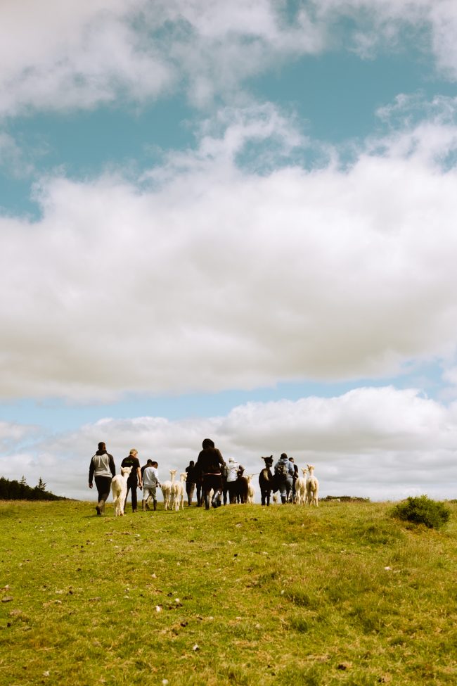 Abo Akin photography32