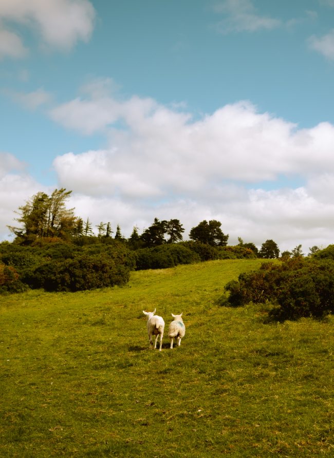 Abo Akin photography33